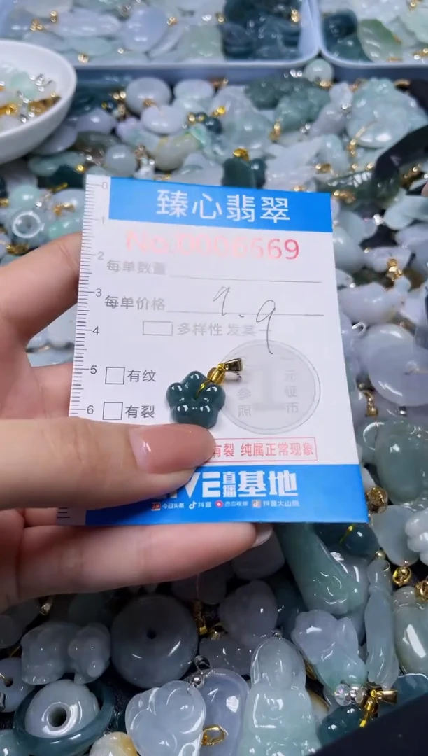 吊坠(不含链)未镶嵌翡翠6569