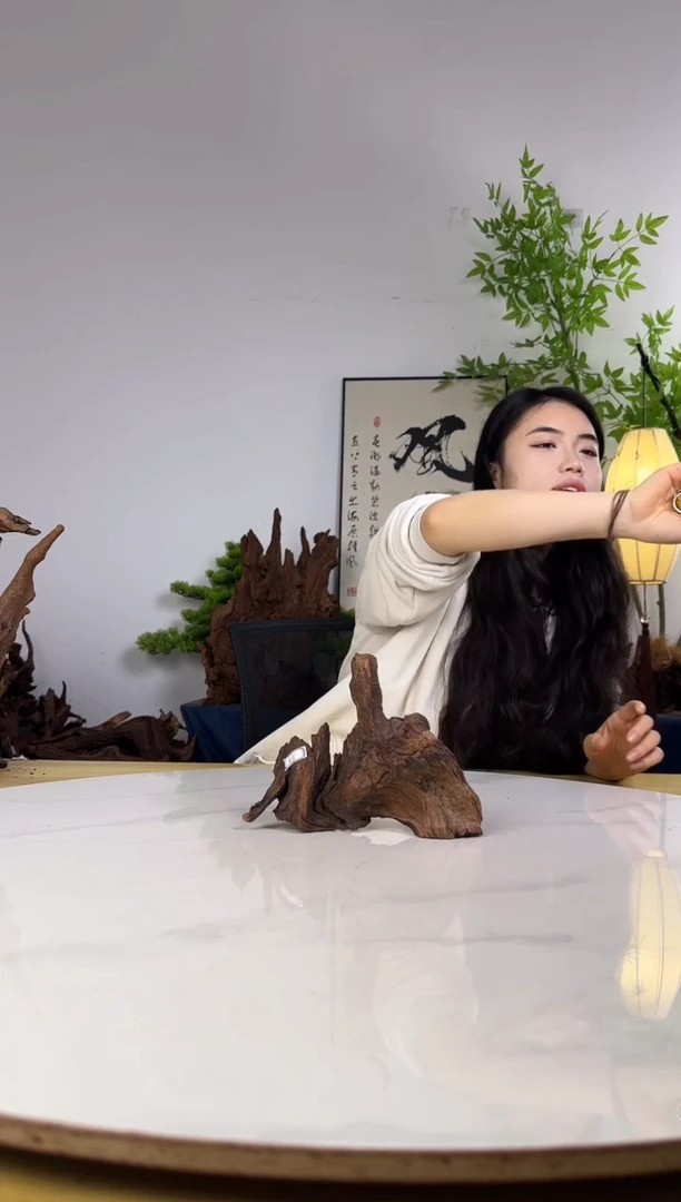 潜*拍沉木定向链接编号55