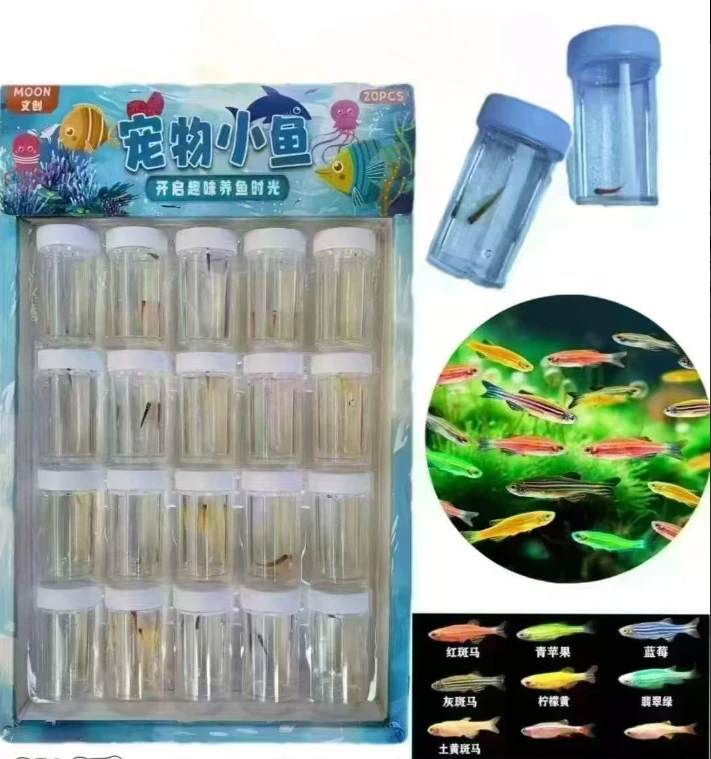 中小学生喜欢爆款灌装带水--小鱼