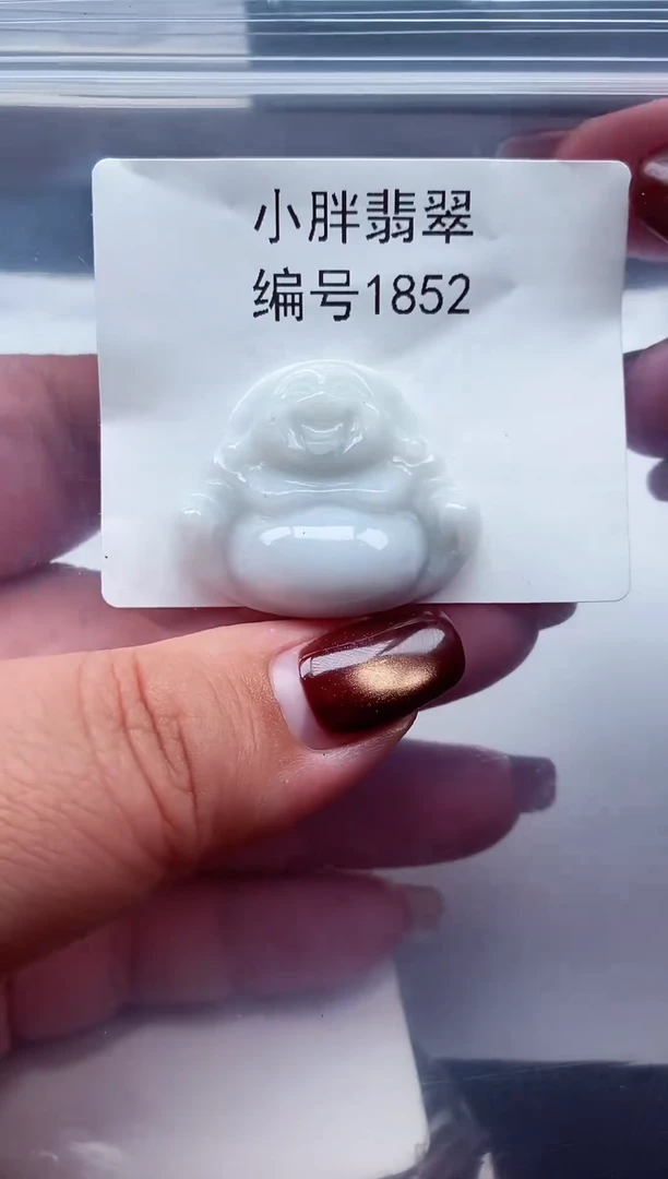 颈饰未镶嵌翡翠缅甸天然A货翡翠1852