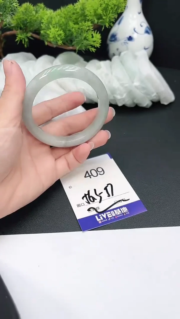 未镶嵌手镯翡翠409