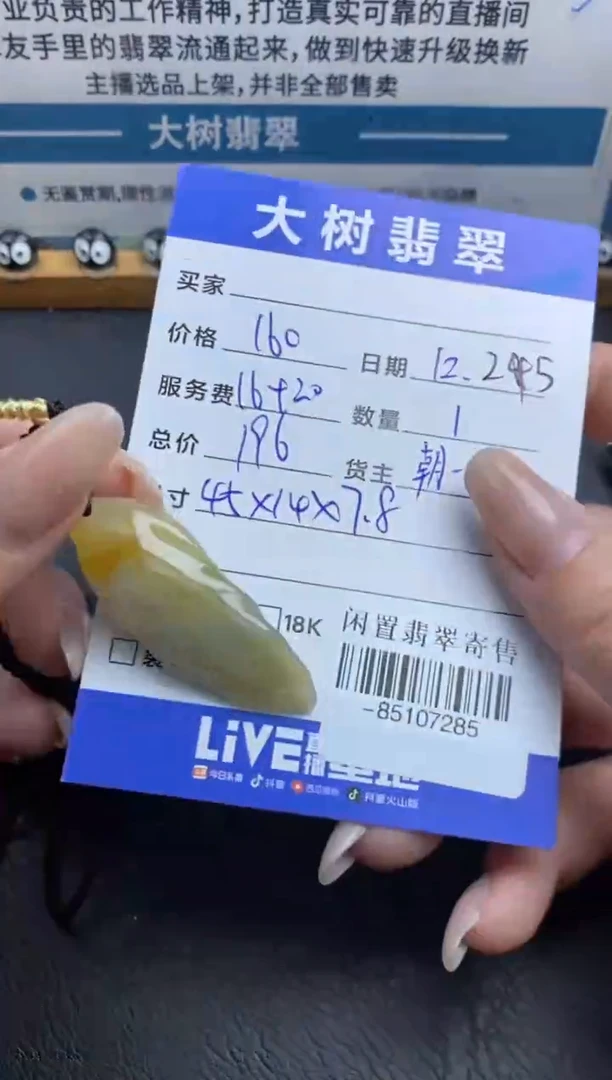 颈饰未镶嵌翡翠-85107285