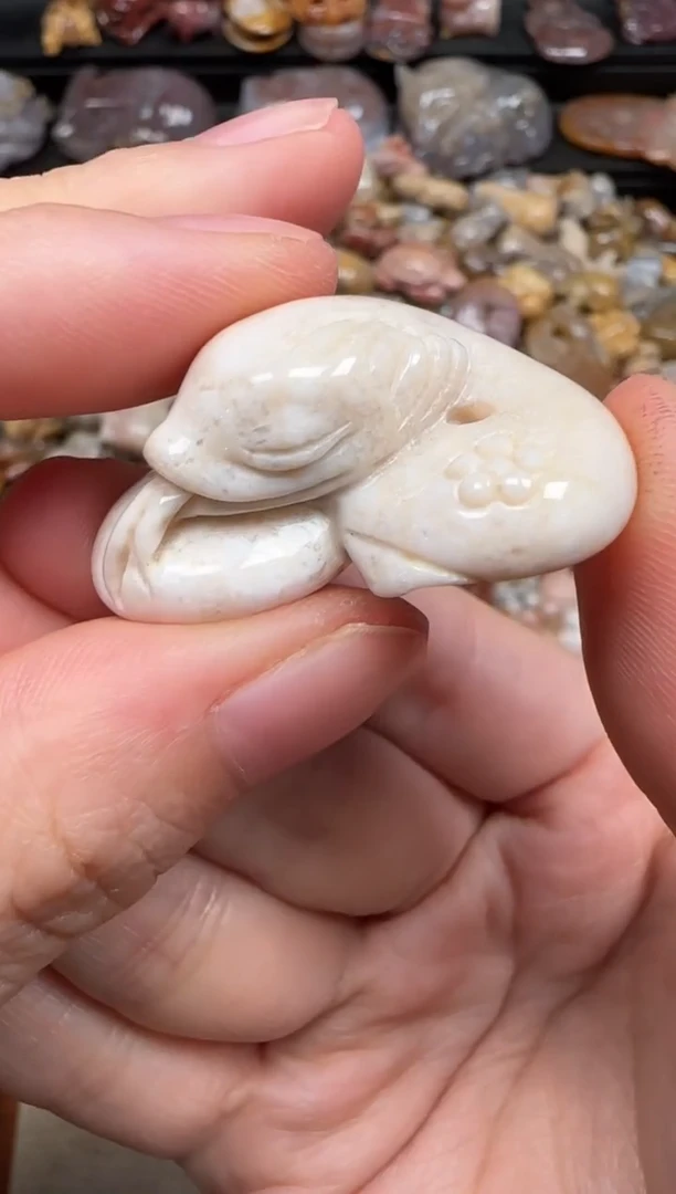 硅化珊瑚（珊瑚玉）未镶嵌颈饰238