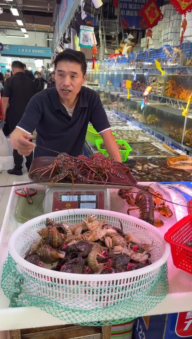 中国大陆鲜活古巴龙2只，