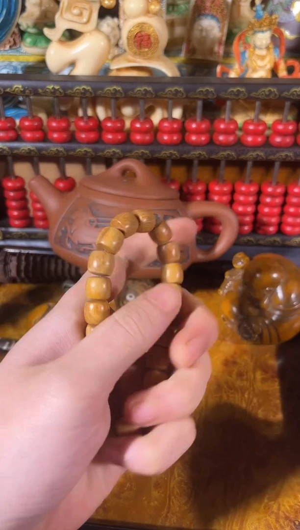 黄杨木11111111111