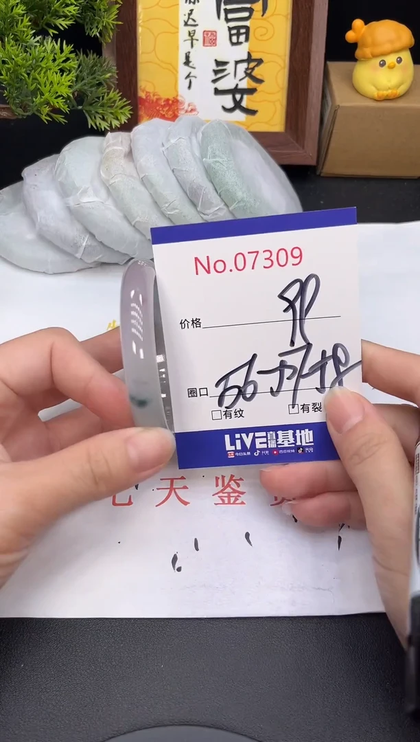 未镶嵌手镯翡翠7309