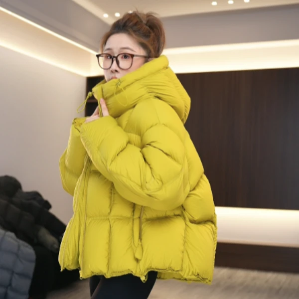 新款上新秋冬时尚运动连帽宽松加厚短款羽绒服-8115
