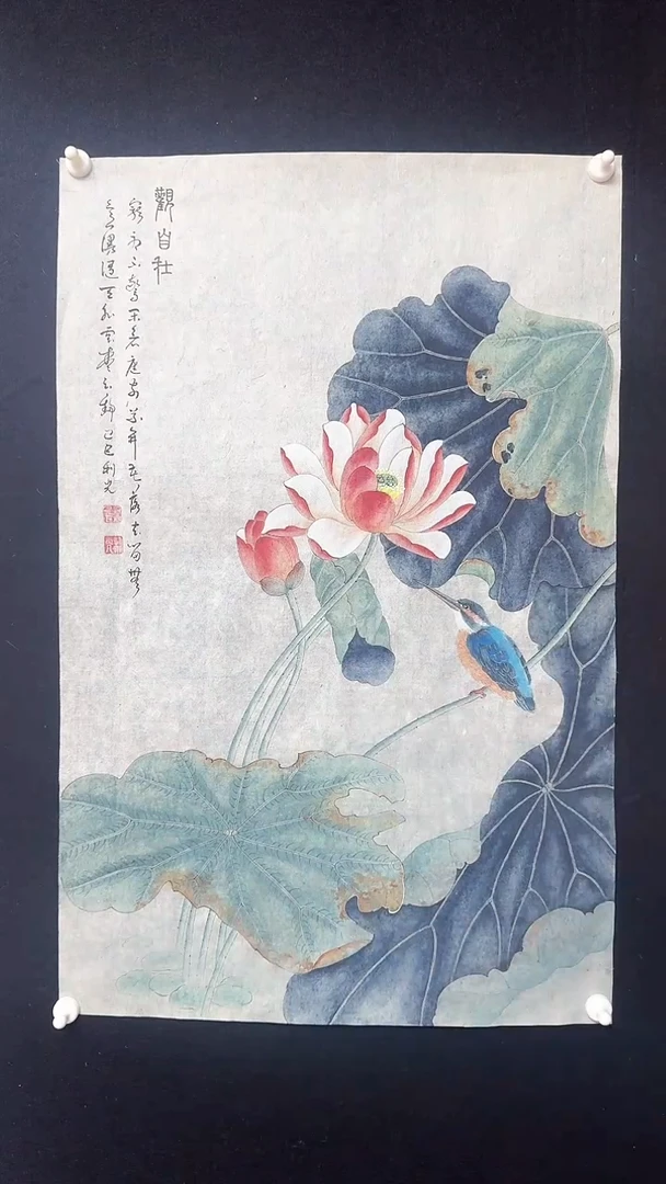 【闪购商品】国画工笔花鸟蓝鸟