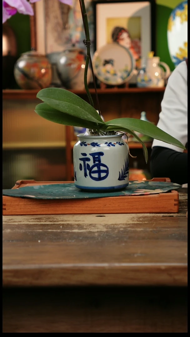 杯景德镇纯手工釉下彩精品茶具水杯