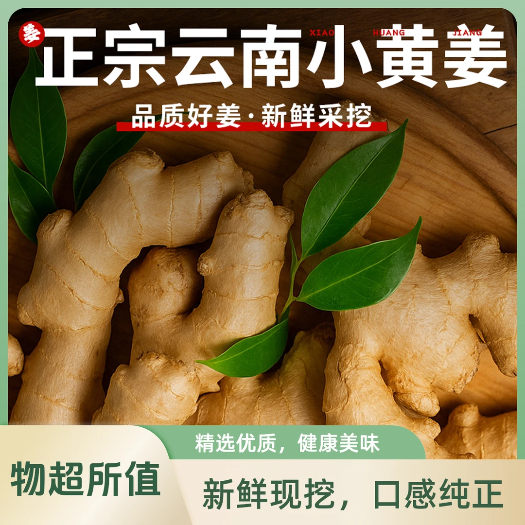 云南高山小黄姜【新姜嫩姜】新鲜现挖泡姜糖醋姜生腌凉拌清脆爽口
