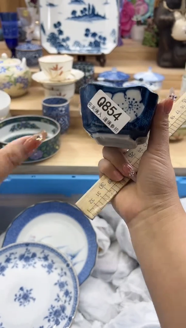 【闪购商品】瓷片854qqqqqqqqqqqq