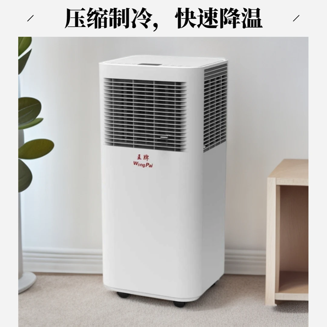 王牌世界D可移动免安装免打孔无外机内置压缩机一体家用移动空调