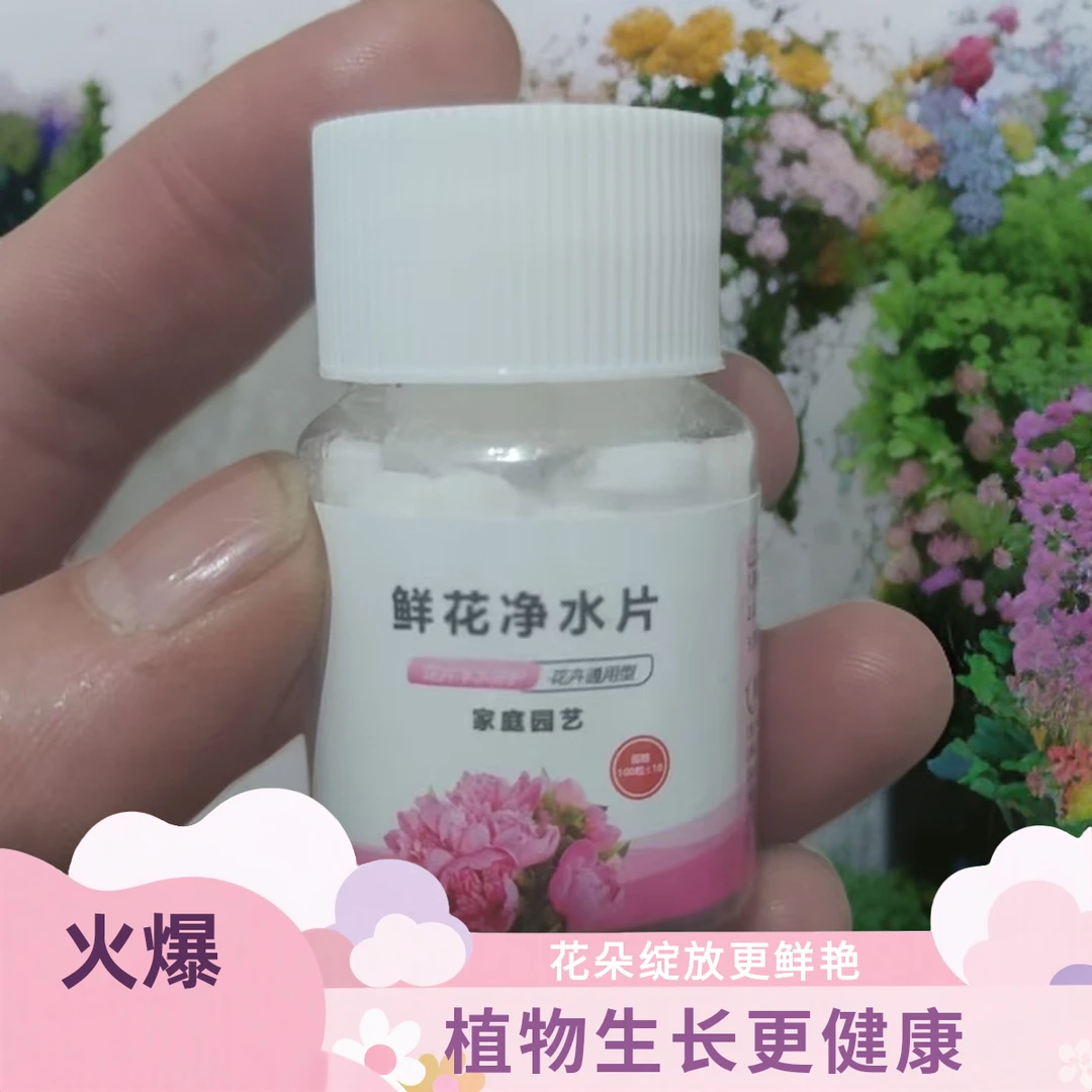 水养花卉鲜花净水片消毒保鲜净化水质延长花期