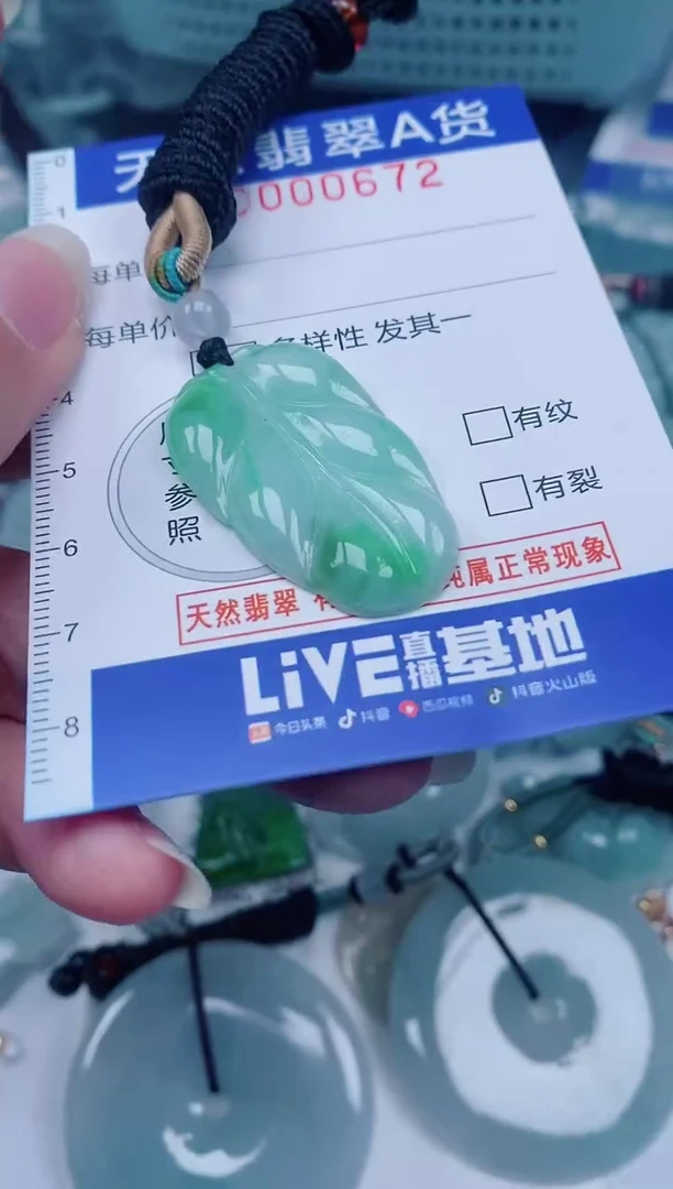 颈饰未镶嵌翡翠00000672