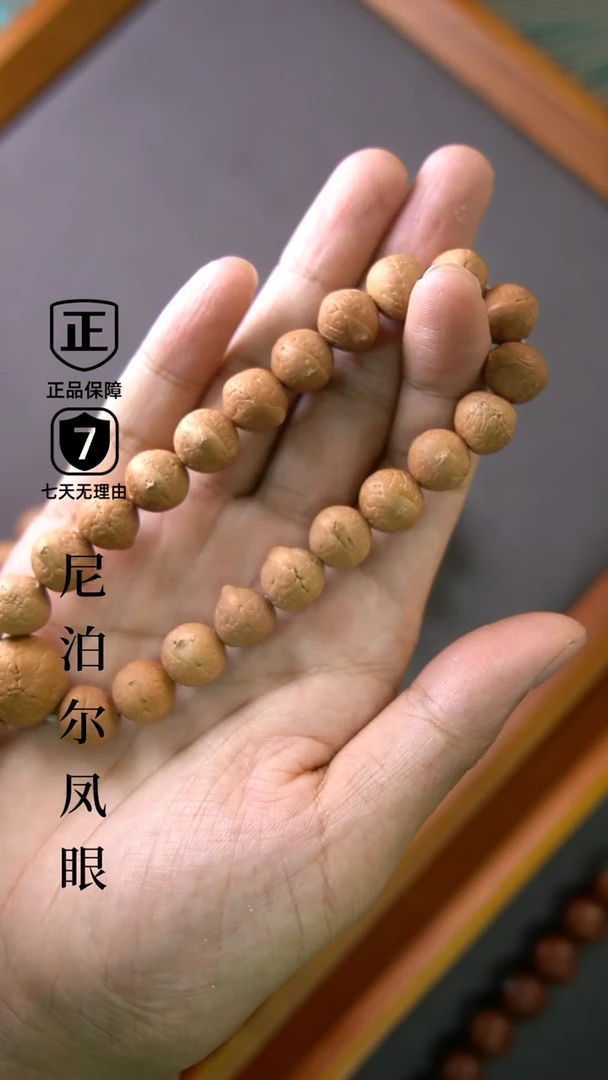 凤眼菩提手串老树王籽小尺寸11.5mm+