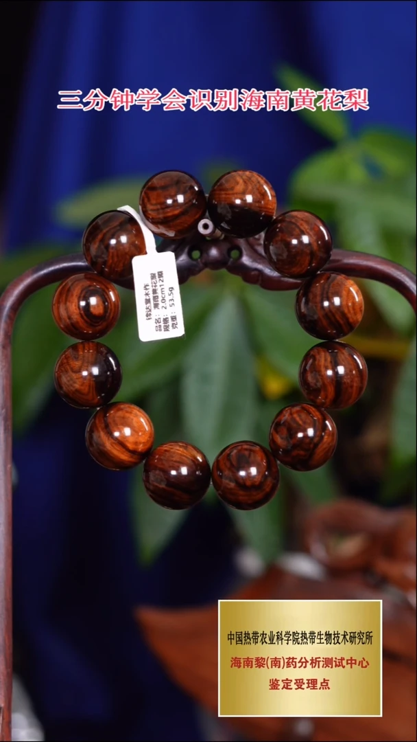 吊坠黄花梨/降香黄檀半**乐2.0老油梨大黑线