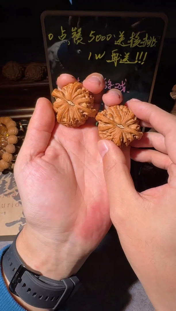 把件文玩核桃白狮子