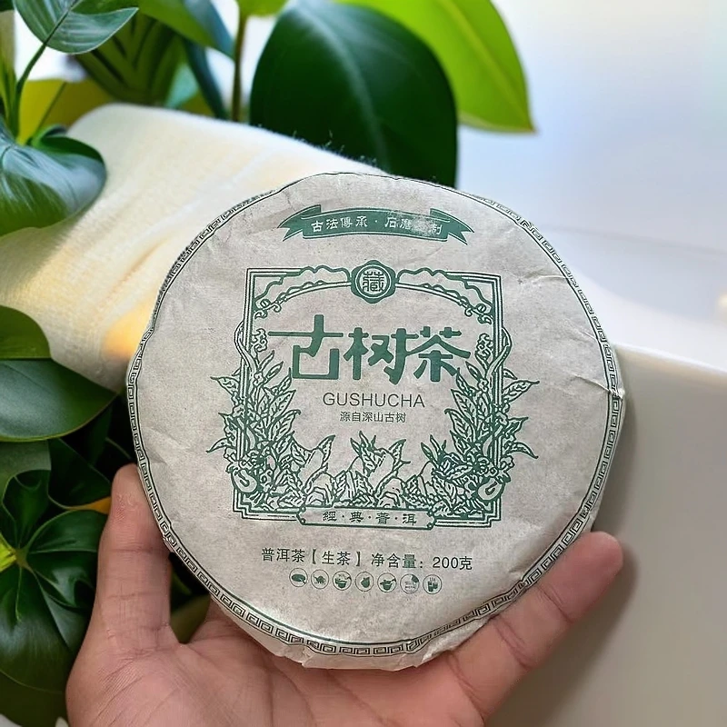 【开播福利】2023年春古树茶/普洱生茶/200克饼甜润回甘
