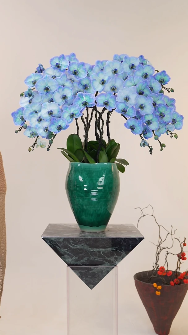 全部花朵013一物一拍 高端艺术盆景/