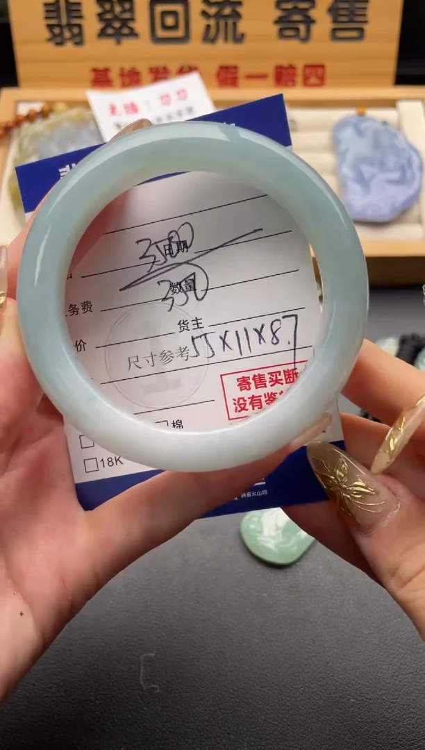 未镶嵌手镯翡翠10146981