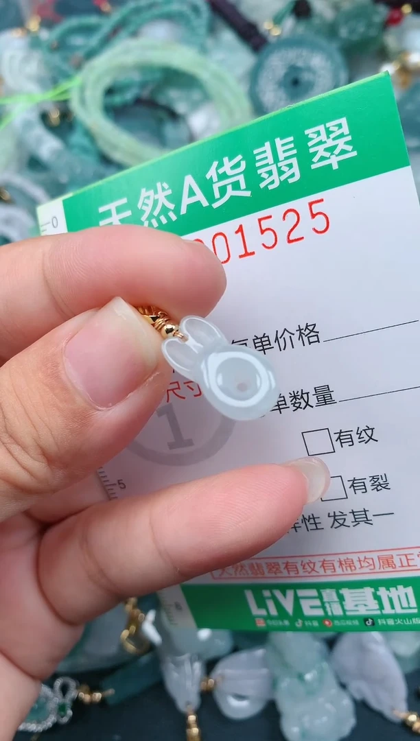 颈饰未镶嵌翡翠.0001525