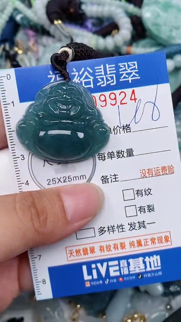 翡翠未镶嵌颈饰...0009924