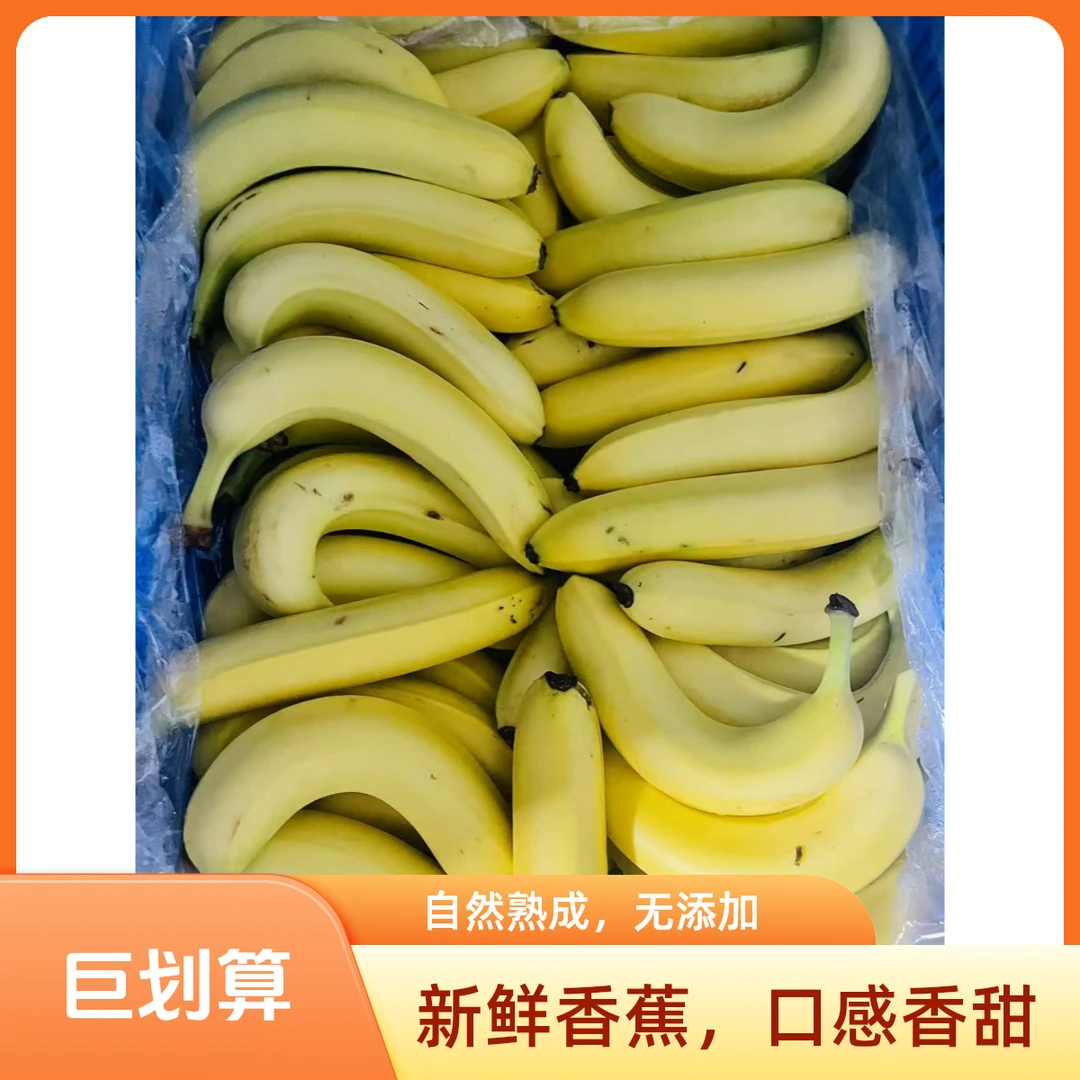广西正宗高山甜香蕉净重9斤5斤当季新鲜水果产地直发现摘整箱芭蕉