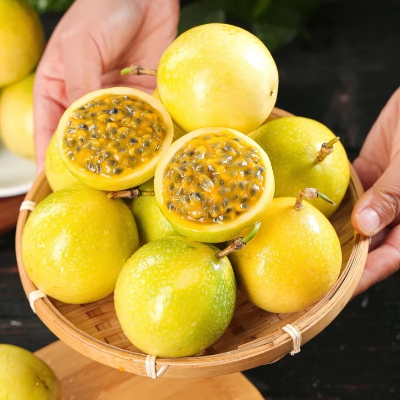【长安】广西钦蜜九号黄金百香果16枚青色新鲜采摘发货送开果器