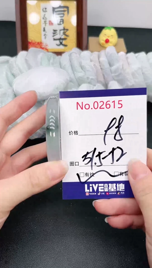 未镶嵌手镯翡翠2615