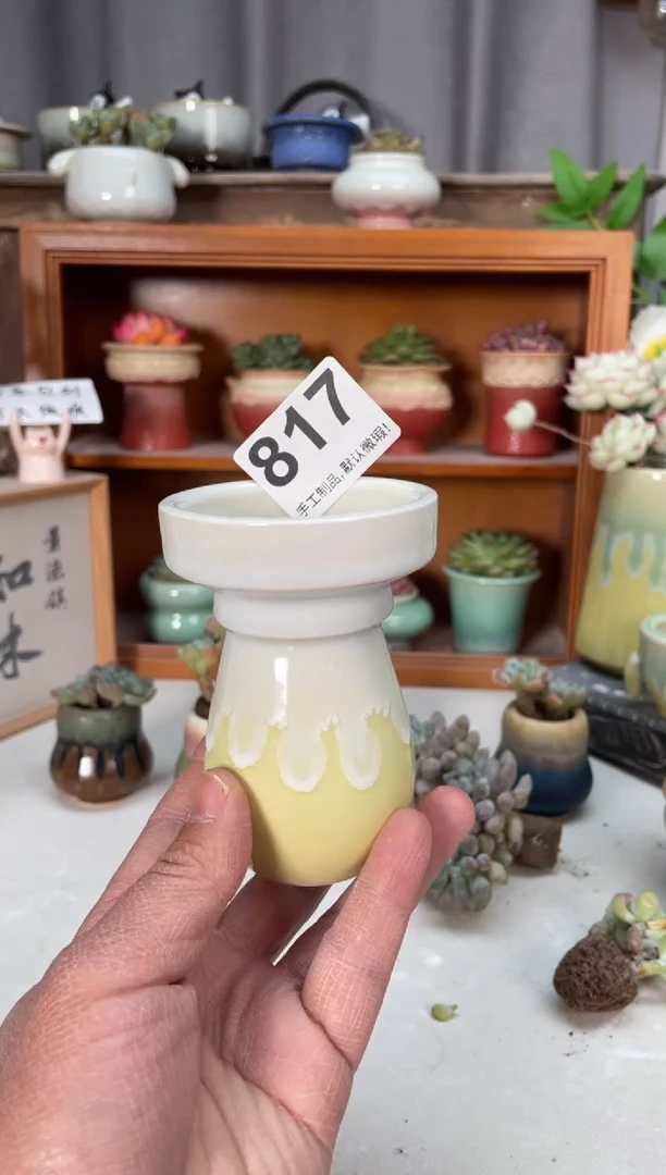 瓷片817小芳直播编号