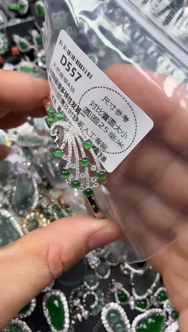 颈饰未镶嵌翡翠D557手镯