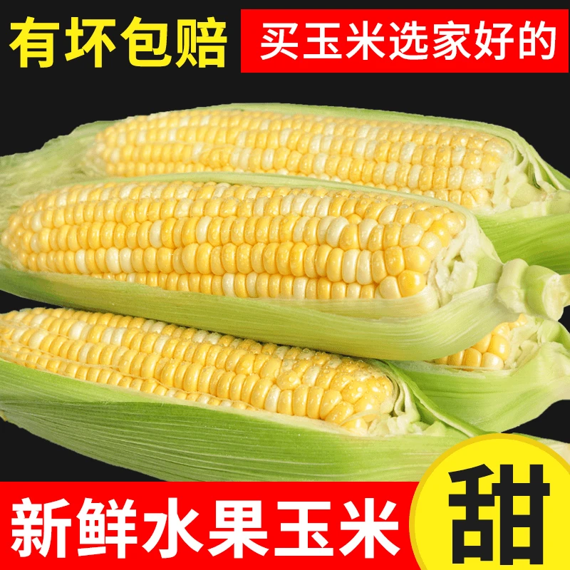 云南新鲜水果玉米金银玉米带壳即食甜脆多汁口感清甜