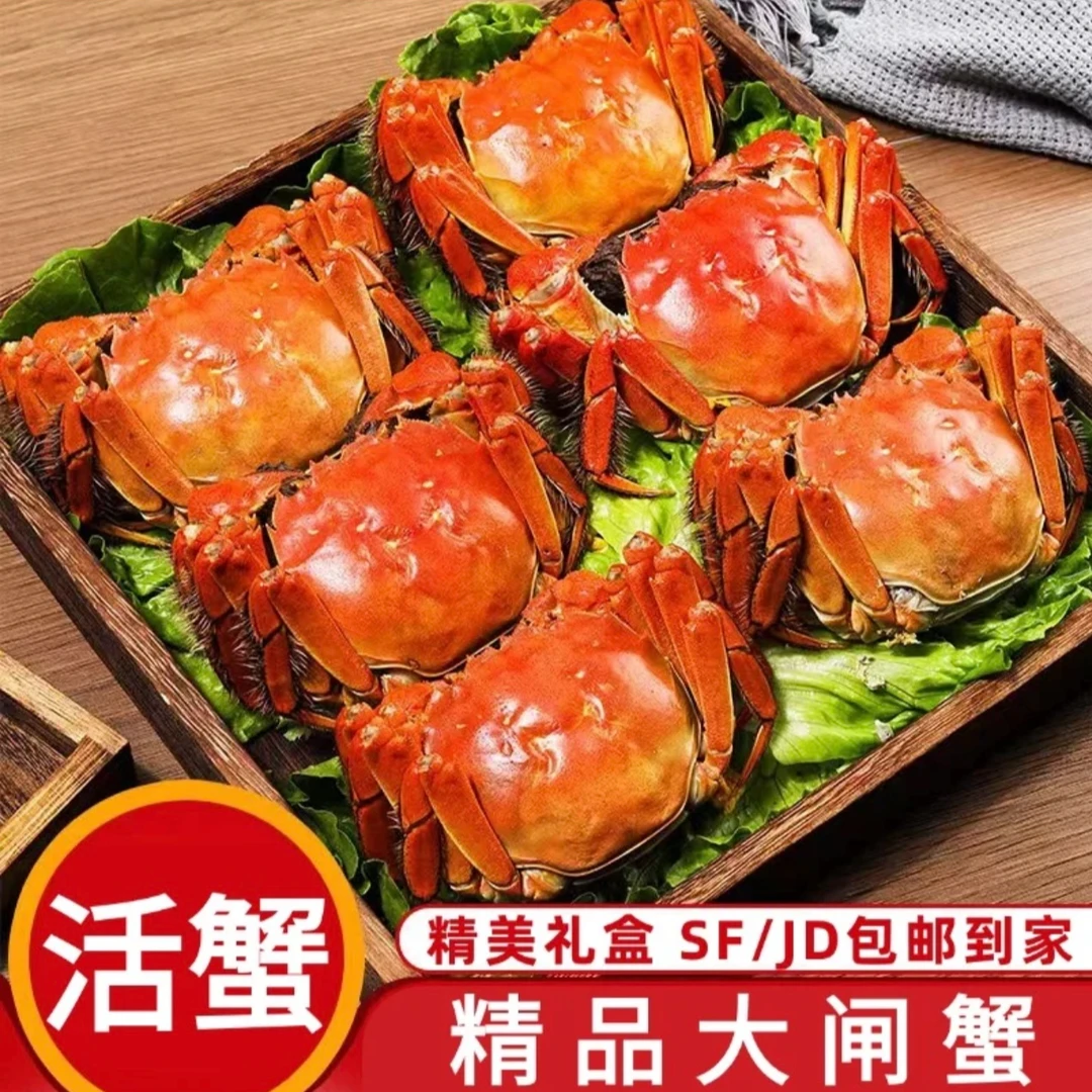 【活蟹】苏州精品大闸蟹全公蟹6.0-5.7两 8只/10只礼盒装