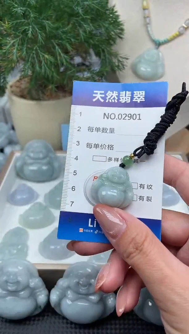 颈饰未镶嵌翡翠纯天然A货翡翠2901