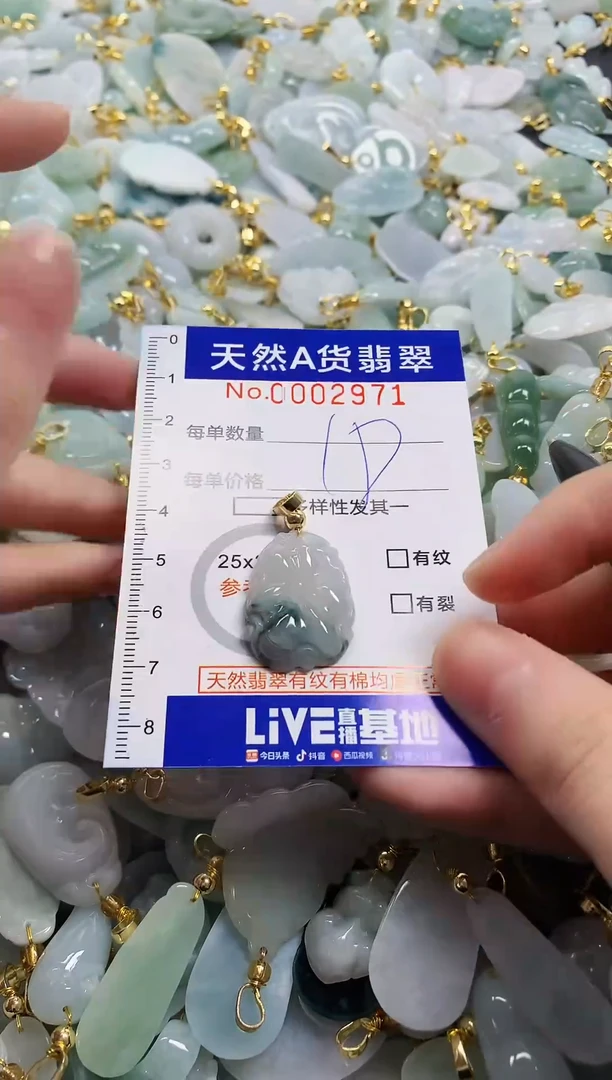 颈饰未镶嵌翡翠纯天然A货翡翠