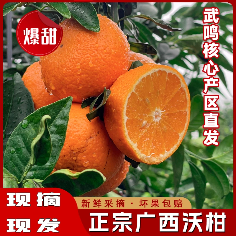 广西正宗武鸣花皮沃柑9斤原产地果园直发季时令新鲜水果香