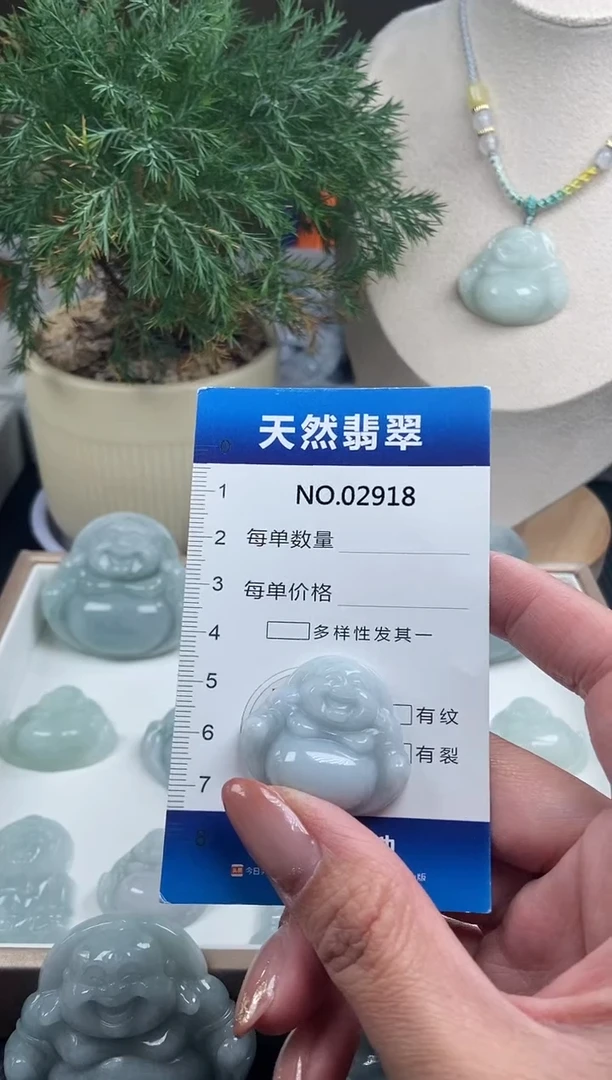 颈饰未镶嵌翡翠纯天然A货翡翠2918