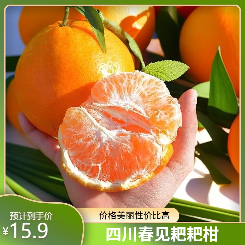 【京东包邮】四川春见耙耙柑 现摘先发 包邮到家