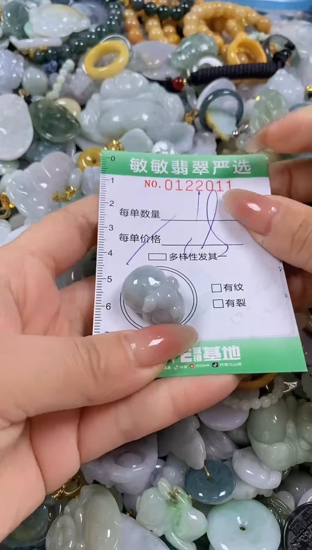 【闪购商品】翡翠颈饰未镶嵌闪购0122011多样性发其一