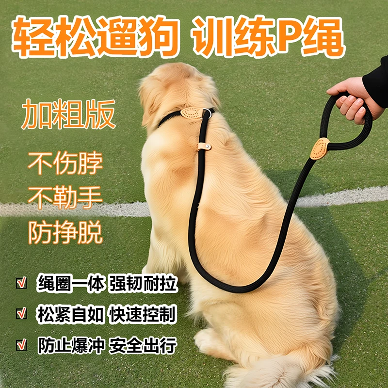 狗狗牵引绳防爆冲胸背带拉布拉多金毛边牧中型大型犬遛狗绳狗链子