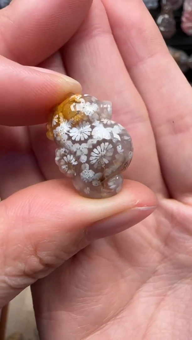 颈饰未镶嵌硅化珊瑚（珊瑚玉）584