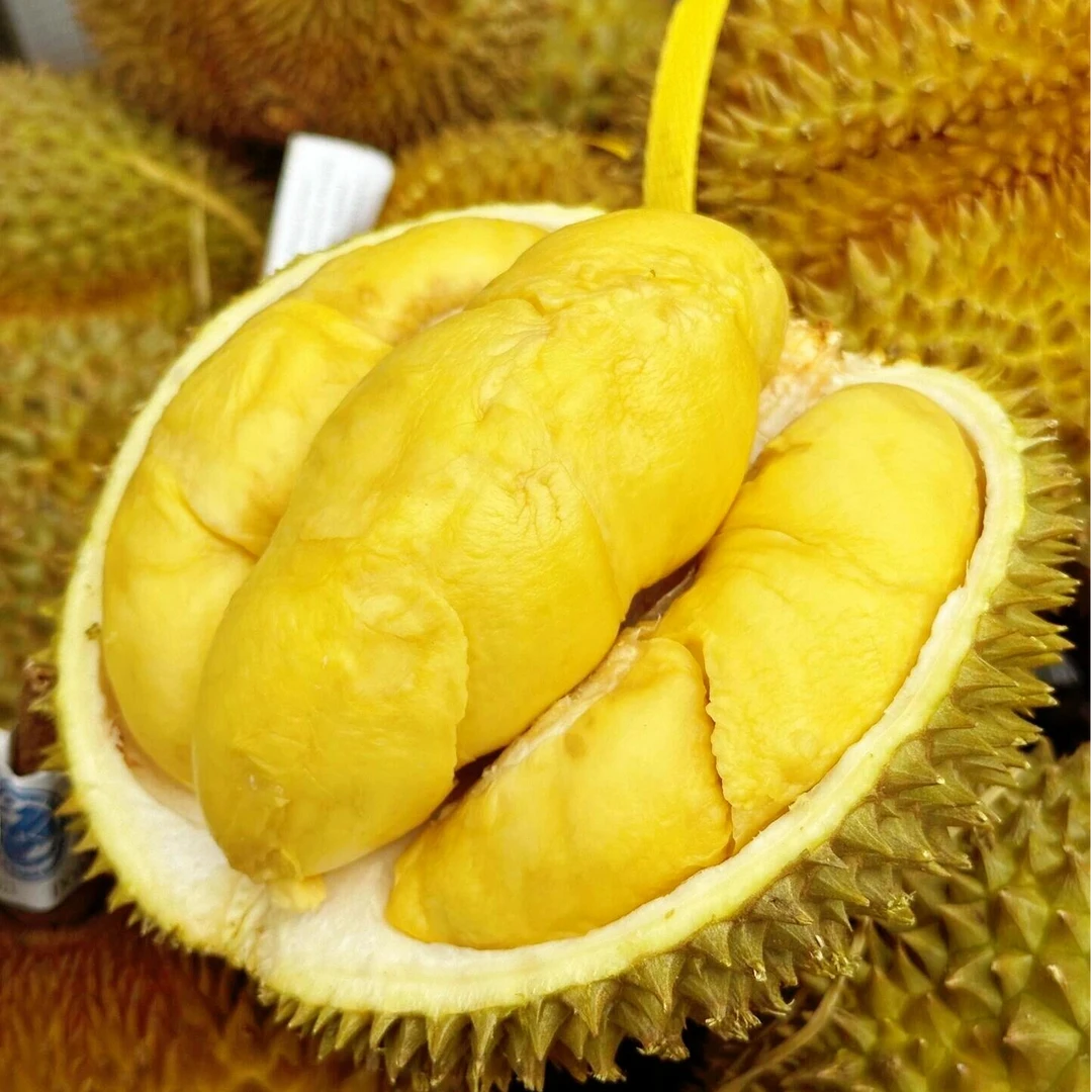 【泰国金枕整果】泰国金枕榴莲树熟A级金枕鲜榴莲核小一物一拍KG金枕泰国榴莲同城送金枕泰国