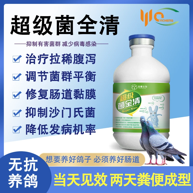 全清超级菌赛鸽种鸽幼鸽禽类肠道调理养殖
