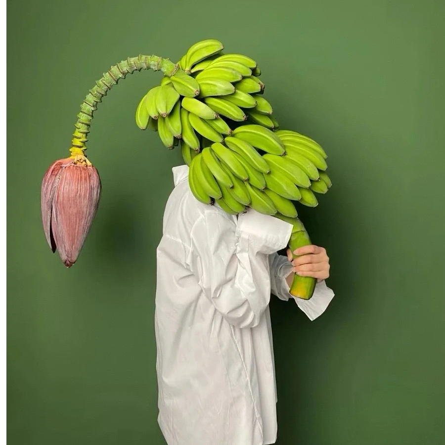 【独鬏鬏优选】小众 [禁止蕉绿] 高级水培网红