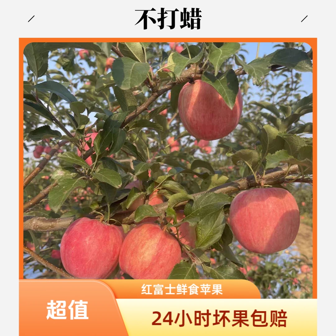 2025新果红富士苹果条纹苹果脆甜黄肉 现摘现发4.5-5斤（多仓发货）