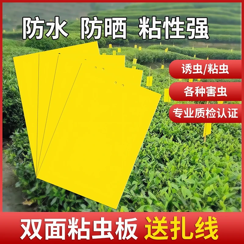 粘虫板家用黄板双面粘虫板小飞虫粘板小黑飞诱虫板大棚果蝇诱捕器