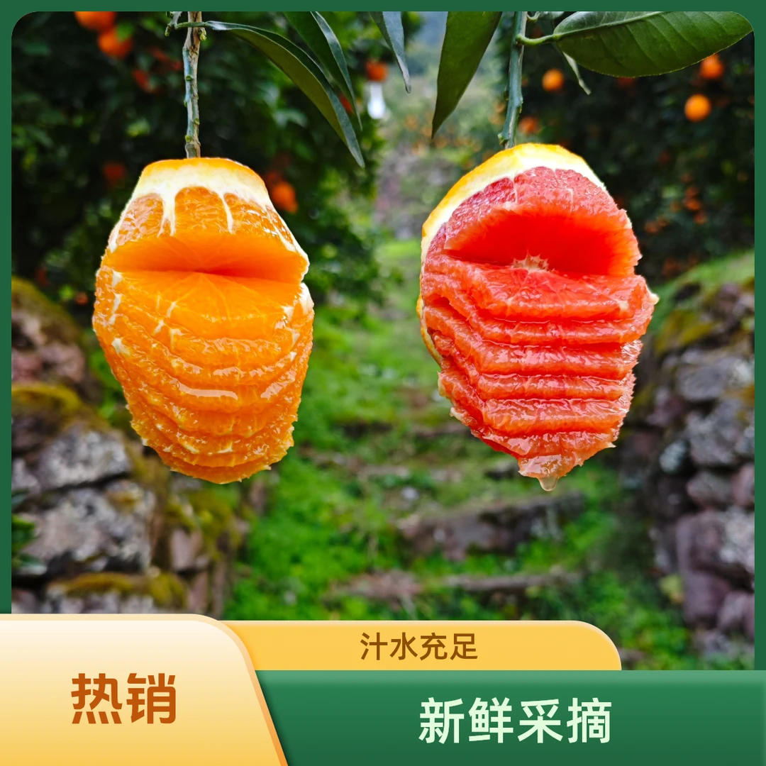 湖北秭归红心橙 中华红血橙 皮薄多汁 手剥橙子 现摘现发 巨好吃