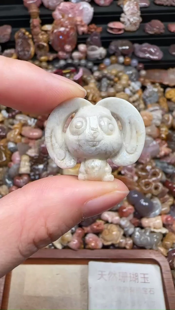 颈饰未镶嵌硅化珊瑚（珊瑚玉）084