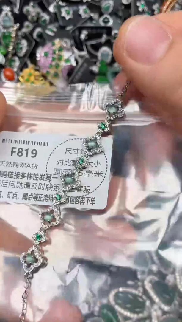 颈饰未镶嵌翡翠F819手链