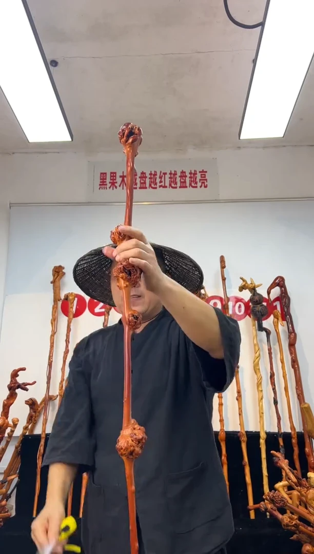 黑果木其他黑果木564